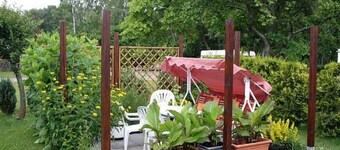 Rügen-Fewo 284 - lejlighed