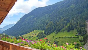 Ein Balkon mit Blick auf eine gebirgige Landschaft, mit grünen Feldern und einem bewaldeten Hang.