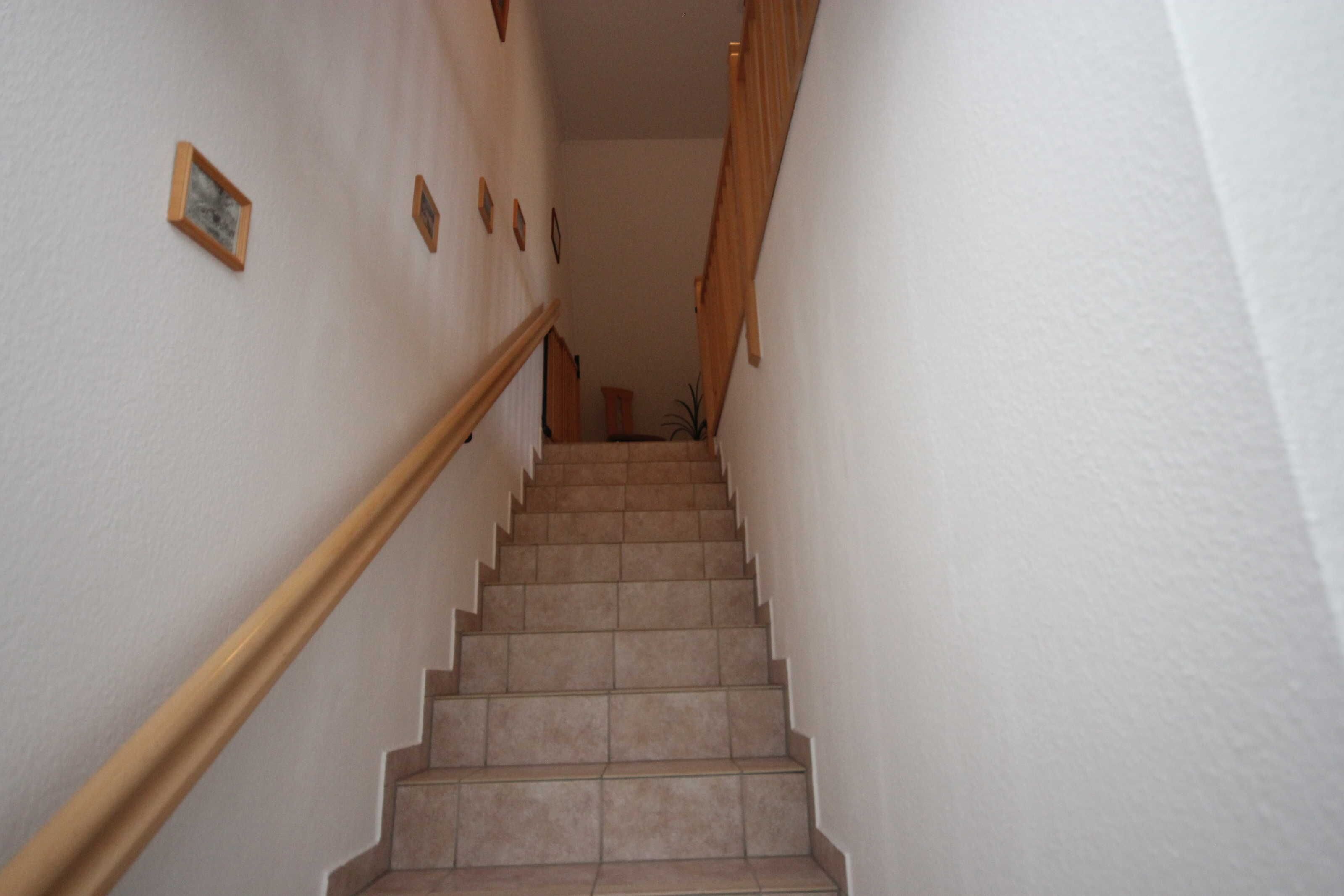A staircase with a wooden handrail and beige steps leading to a landing.