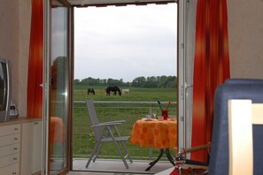 Imagen sin descripción, 2 de 12, botón