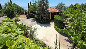 A residential property with a driveway, a parked car, and a garden with various plants and a pergola.