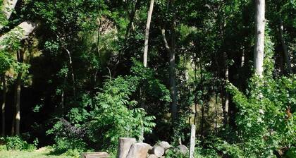 Ferienwohnung mit Blick auf den Frankenwald