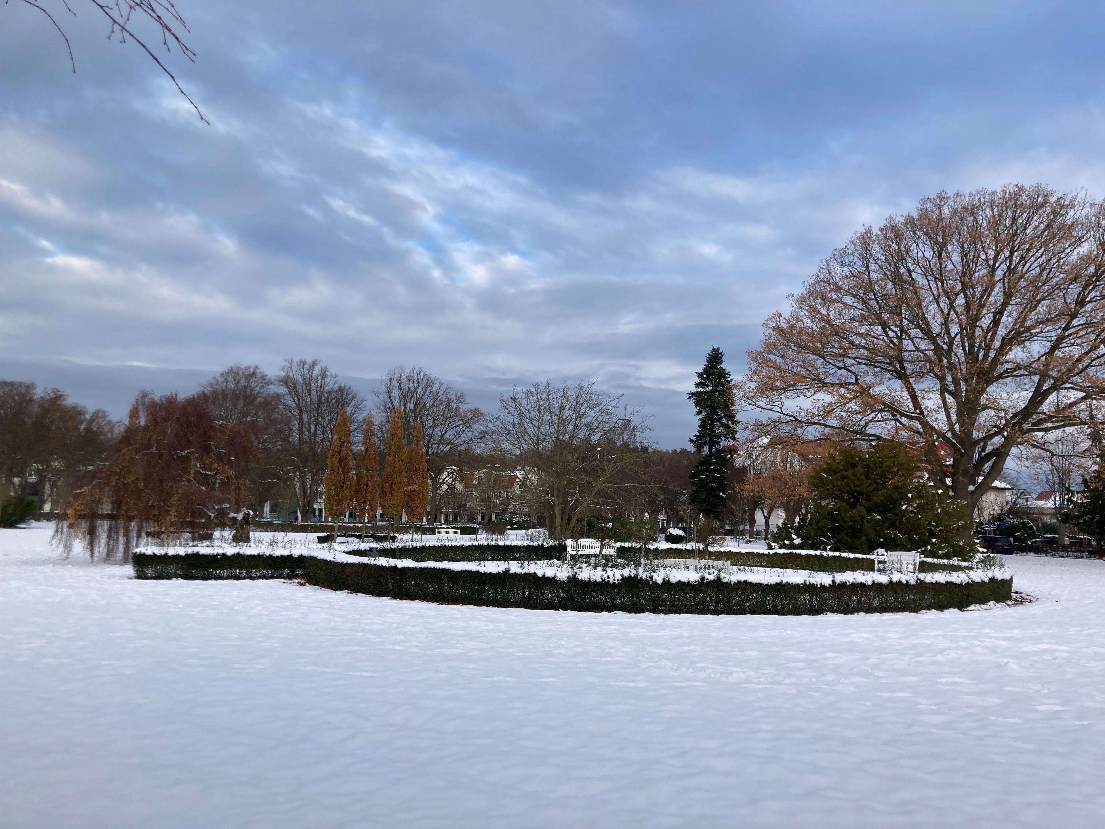 Un parque cubierto de nieve con un laberinto de setos, árboles y un banco.