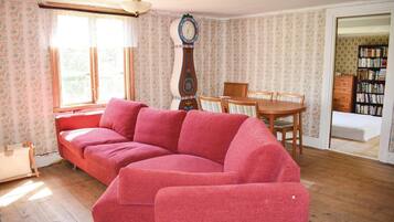 Fernseher, Kamin, DVD-Player
