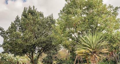 2 huoneen majoitus Icod el Altossa