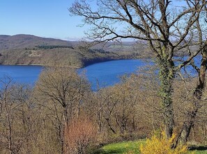 Unclassified image, 2 of 31, button