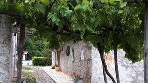 A stone pathway leading to a rustic building with a vine-covered pergola. - Holiday home with sea view and pool (Dobreć)