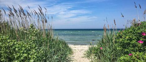 Nära stranden och fiske