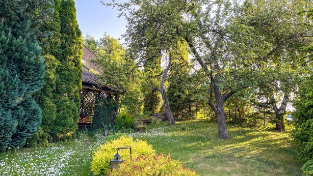 Un jardín con un pabellón, árboles y una variedad de plantas.