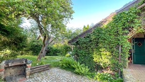 Un camino empedrado conduce a un edificio rústico con puerta verde, rodeado de abundante vegetación y un árbol con un nido.