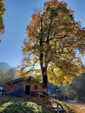 Udendørsområde