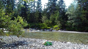 Un río con orilla rocosa, rodeado de un bosque denso y altos árboles de hoja perenne.