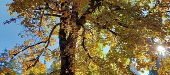 アパートメントナーゲル、Kreuth-Enterbach  - アパートメントナーゲル