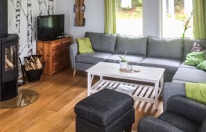 Téléviseur, foyer, lecteur de DVD