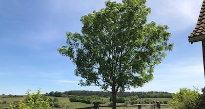 Ferienwohnung Weitblick - Ferienwohnung