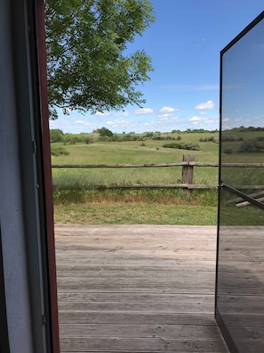 Unclassified image, 5 of 11, button