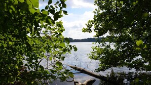 Un lac paisible, entouré d’une végétation luxuriante, dont les eaux calmes reflètent le ciel.