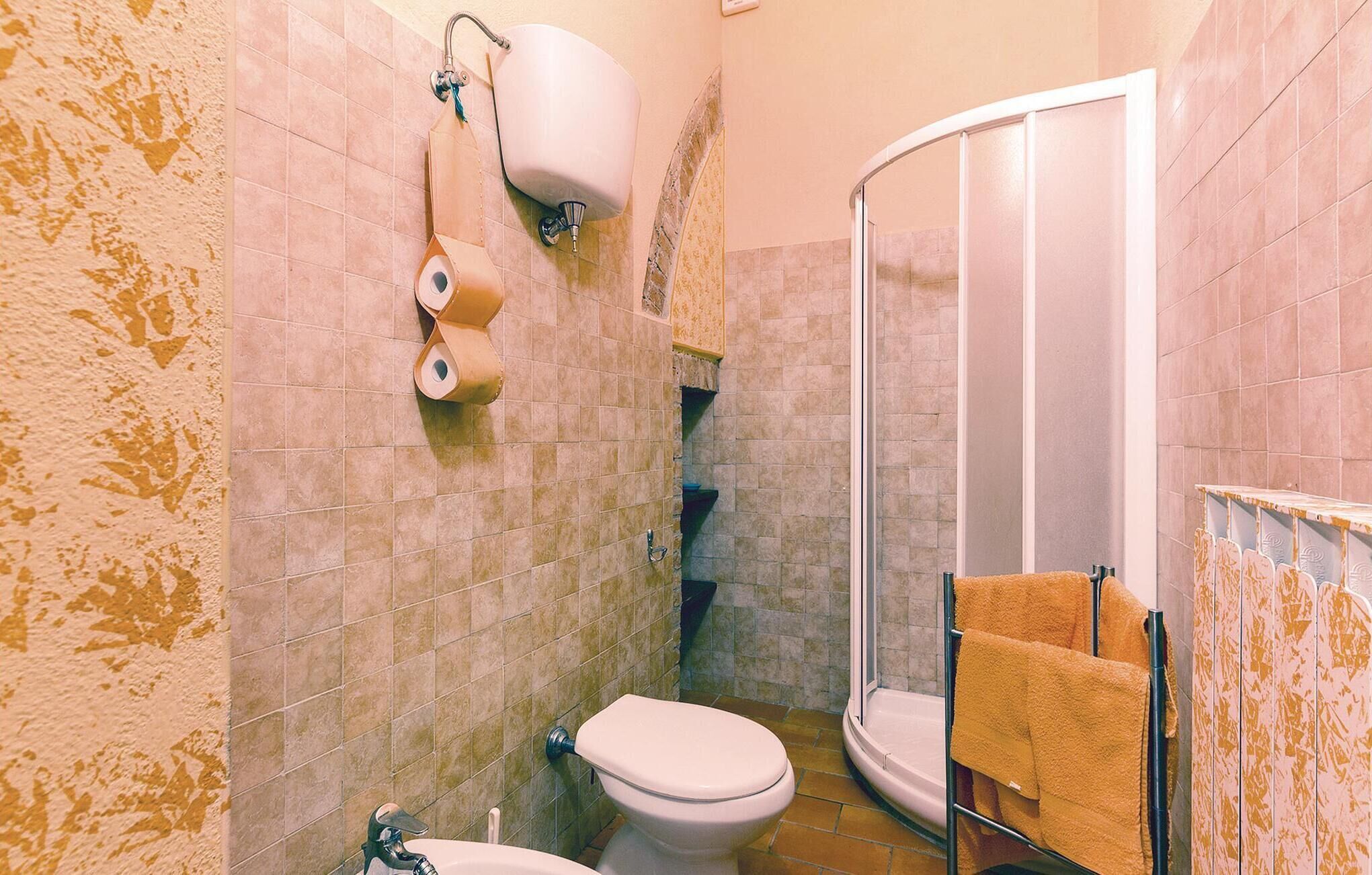 A bathroom with a toilet, a shower, and a towel rack.
