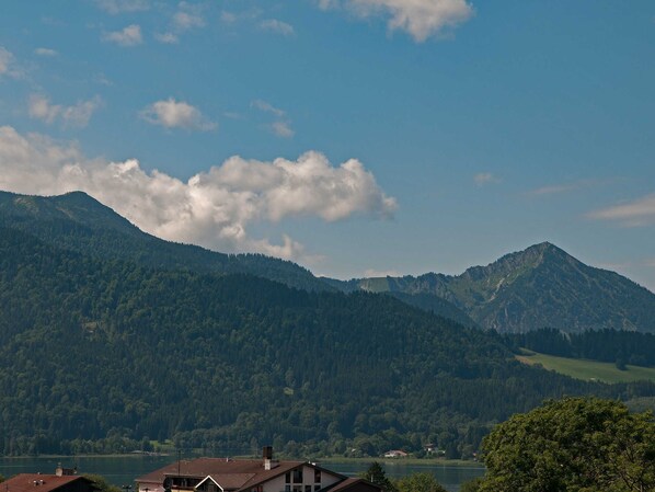 Unclassified image, 1 of 11, button