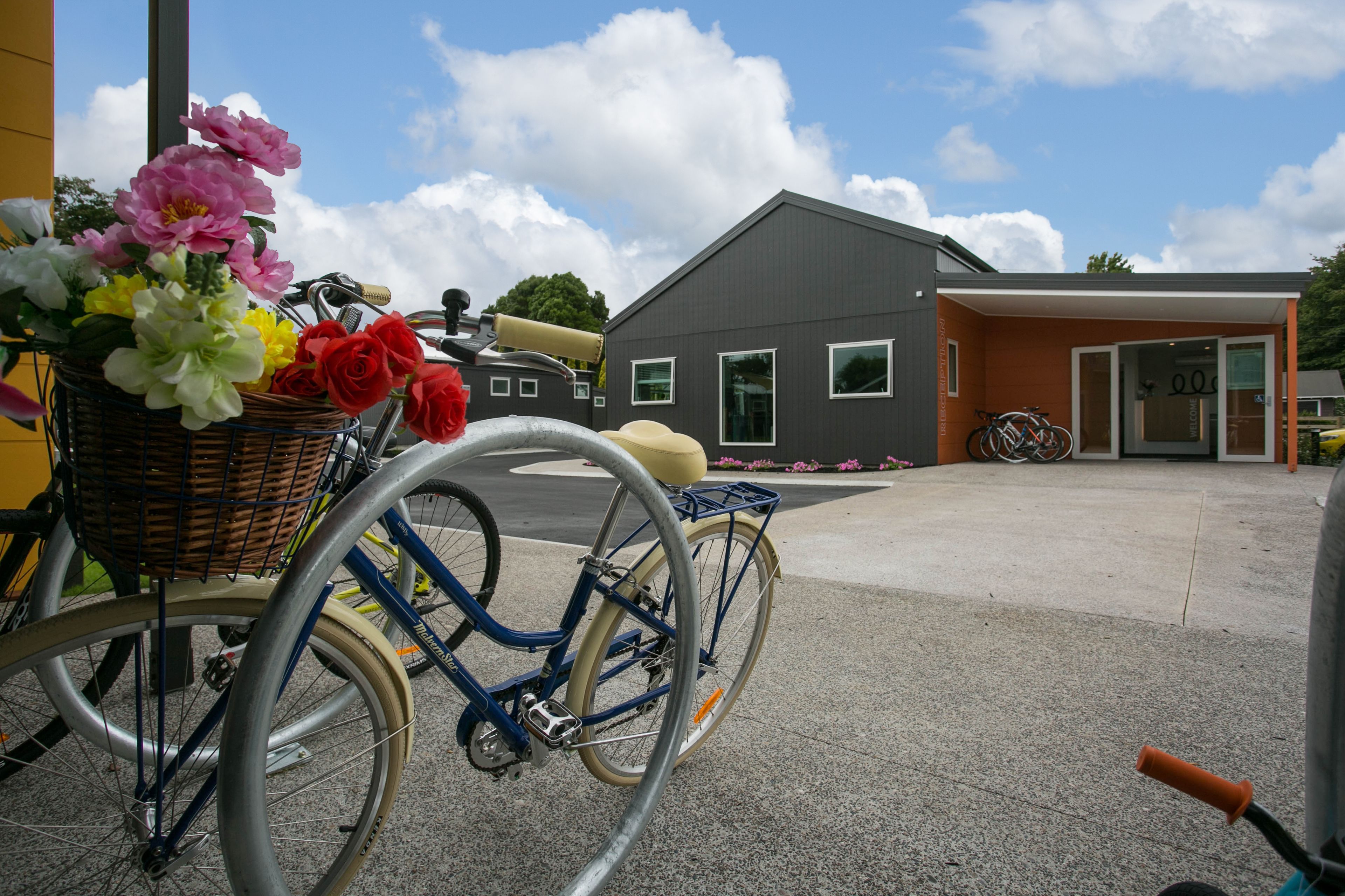 Una bicicleta con una cesta de flores estacionada frente a un edificio.