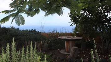 Un jardín con una mesa de madera rodeada de diversas plantas y un árbol de follaje denso.