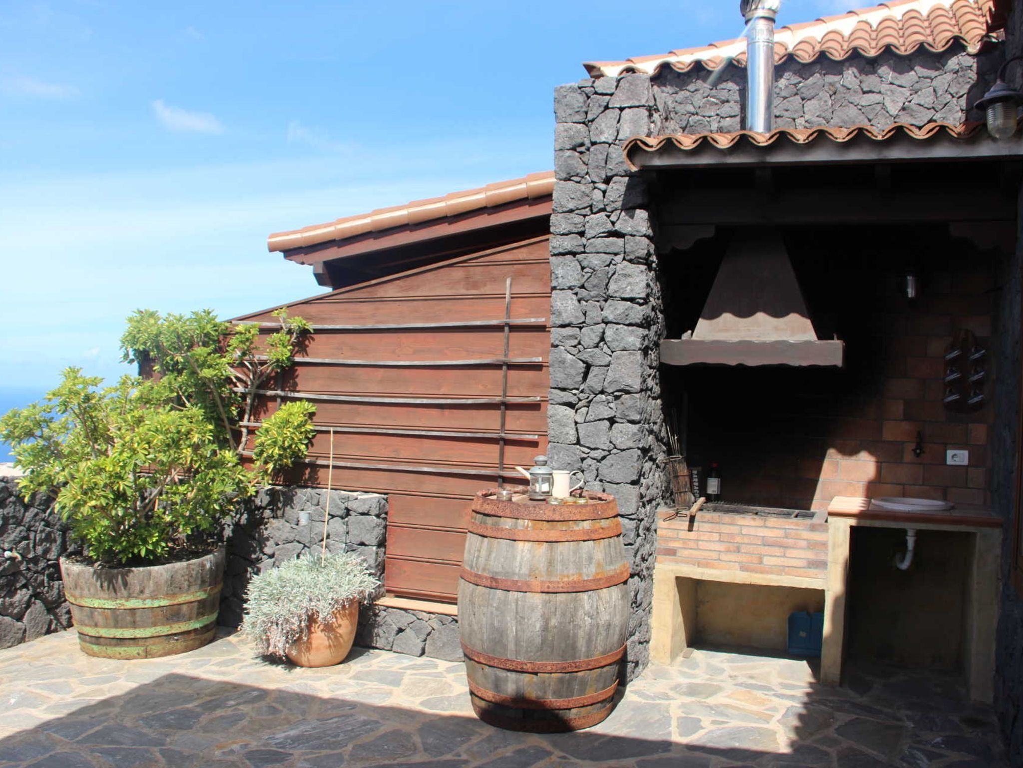 A stone wall with a wooden door, a stone fireplace, and a potted plant.