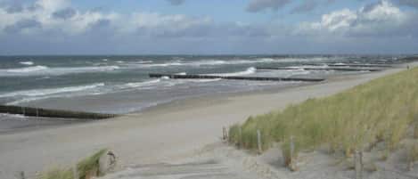A coastal pathway leading to a beach with a wooden fence and grassy dunes.