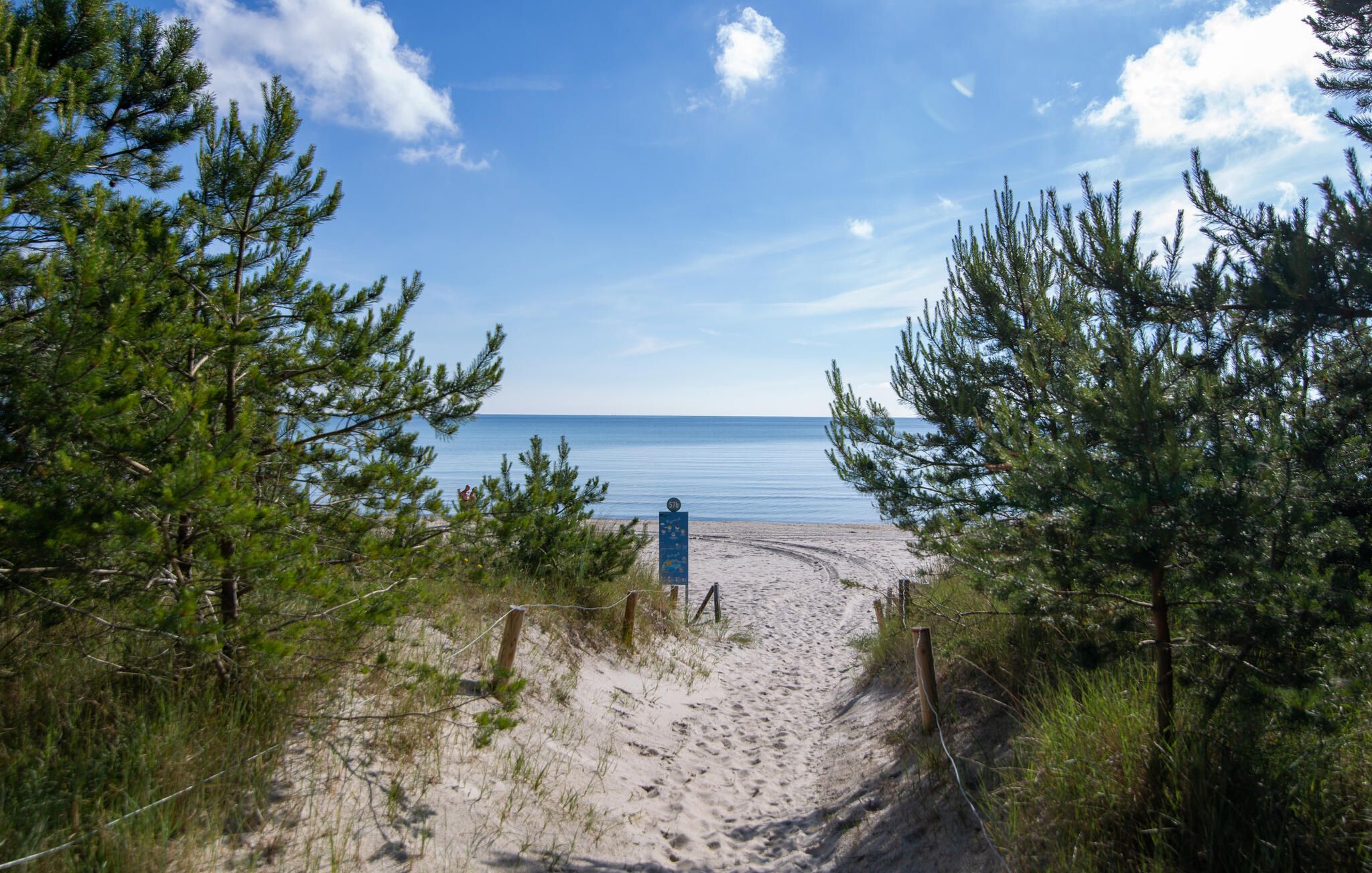 Un sentier qui longe la plage et mène à l’océan, bordé de pins.