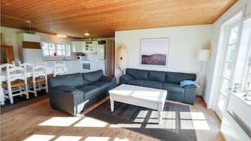 TV, fireplace, DVD player
