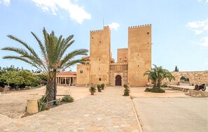A historic building with two towers, a cobblestone pathway, and palm trees.