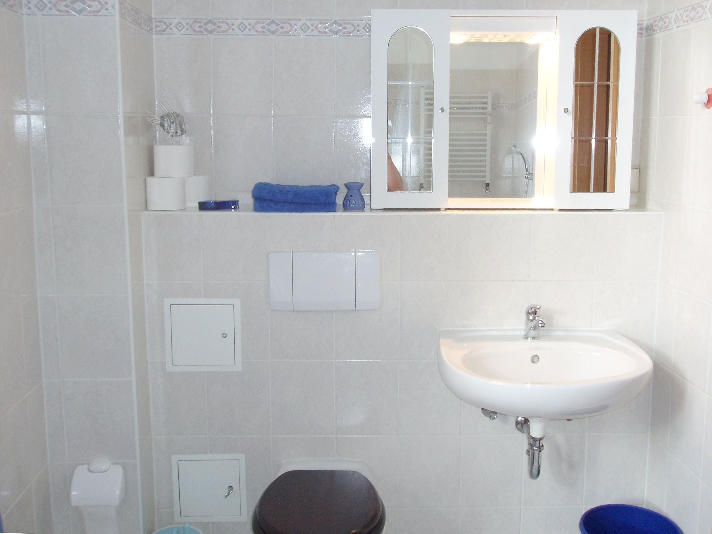 A bathroom with a white sink, a toilet, a mirror, and a shower.
