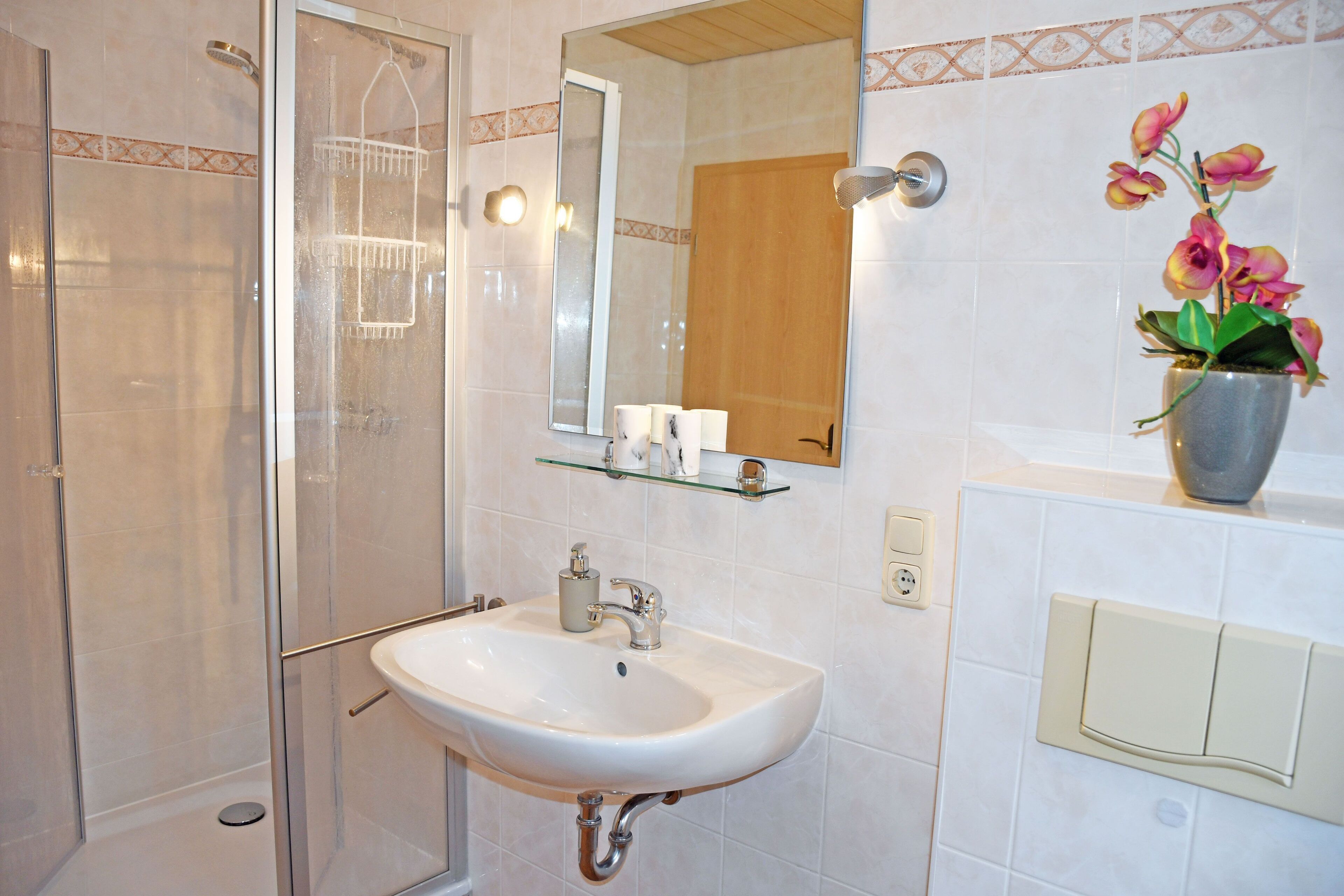 Une salle de bain avec une douche à parois de verre, un lavabo blanc, un miroir et une orchidée en pot.
