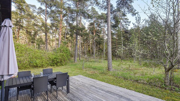 Een terras buiten met een tafel en stoelen, omgeven door een bebost gebied.