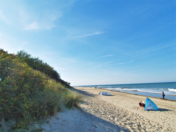 Nära stranden