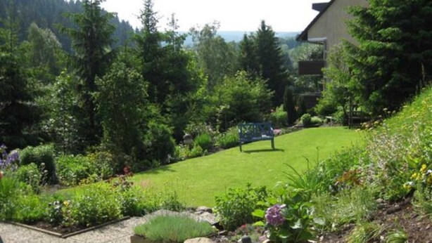 A garden with a bench, a house, and a view of the forest.