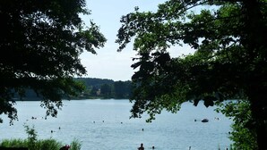 Ein Park am Seeufer mit einer Bank und einem Picknicktisch, umgeben von Bäumen.