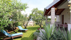Un espace patio comprenant deux fauteuils bleus, un chemin en pierre et diverses plantes.