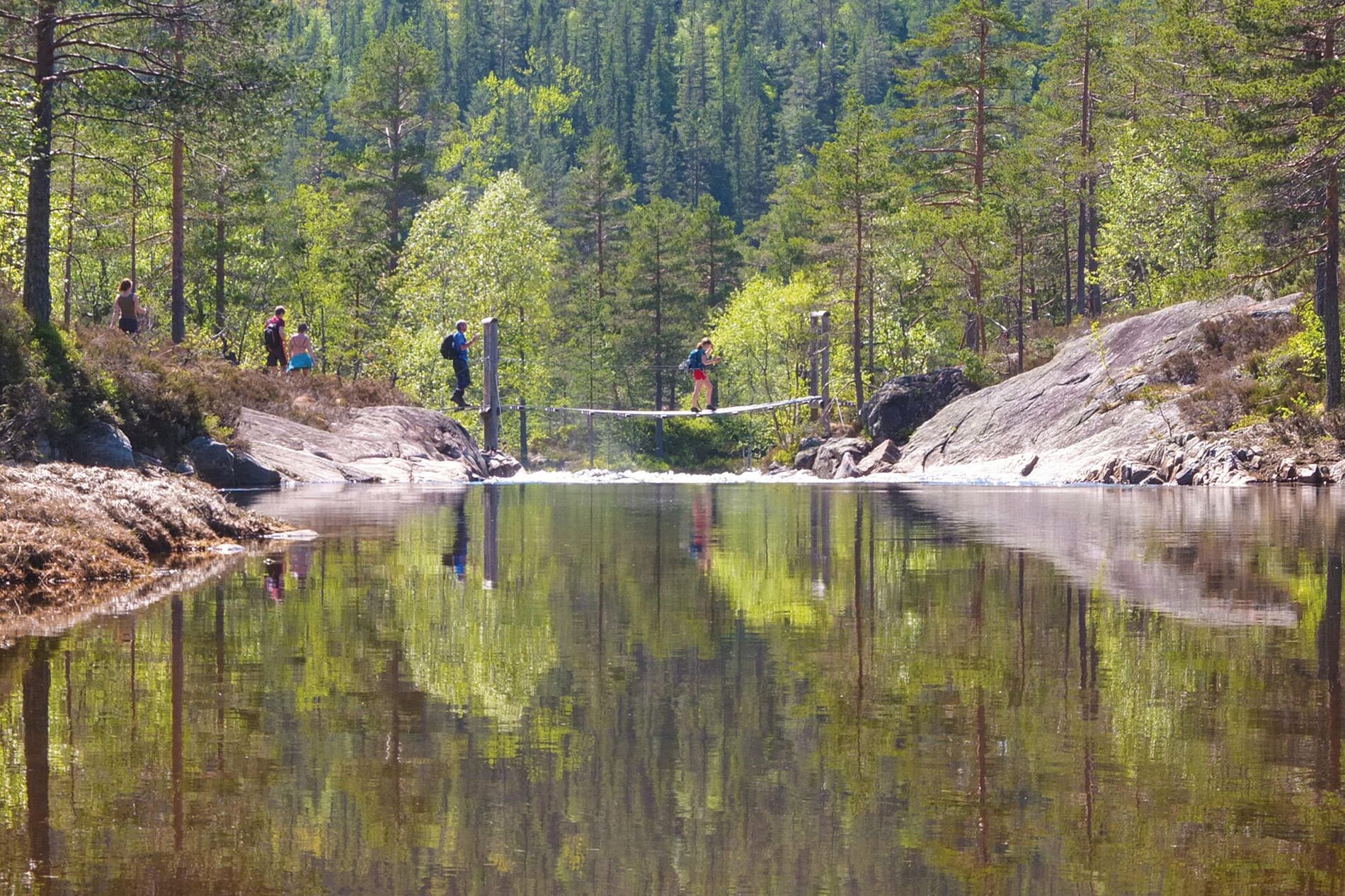 Un grupo de personas cruzando un puente colgante sobre un río tranquilo, rodeado de un bosque denso.