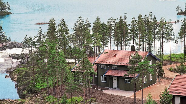 Een chalet met een rode dakbedekking, omringd door hoge dennen, nabij een waterpartij.