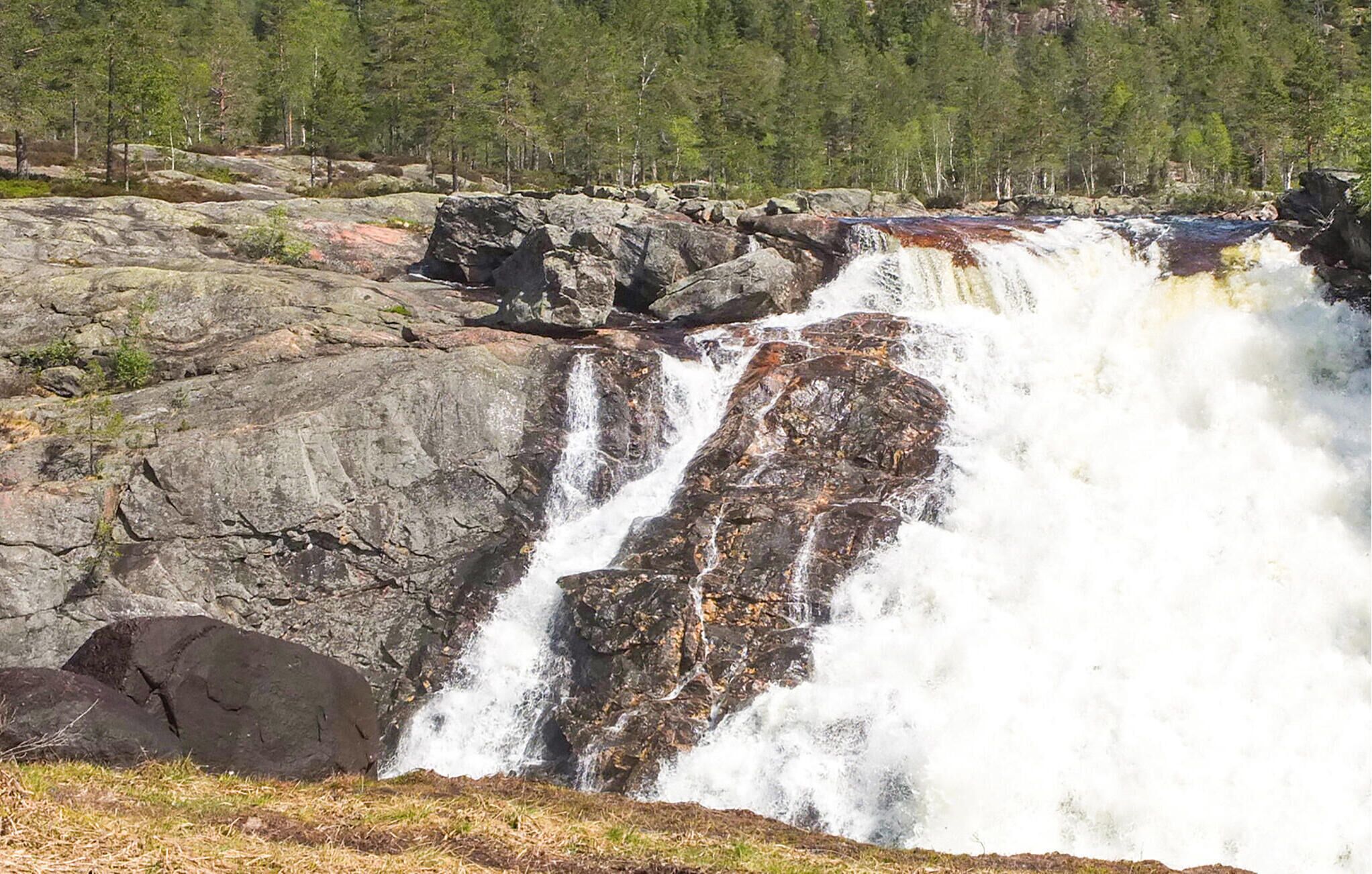 Une cascade d’eau se déversant sur de gros rochers dans une zone boisée.