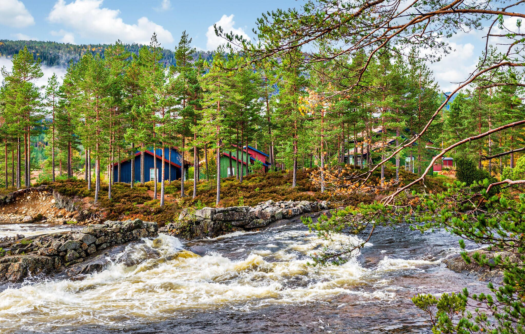 A river with a stone bridge, surrounded by dense forest and colorful cabins.