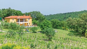A two-story yellow house with a red roof, surrounded by a vineyard and lush greenery. - Amazing home in Kranjci (Kranjci)