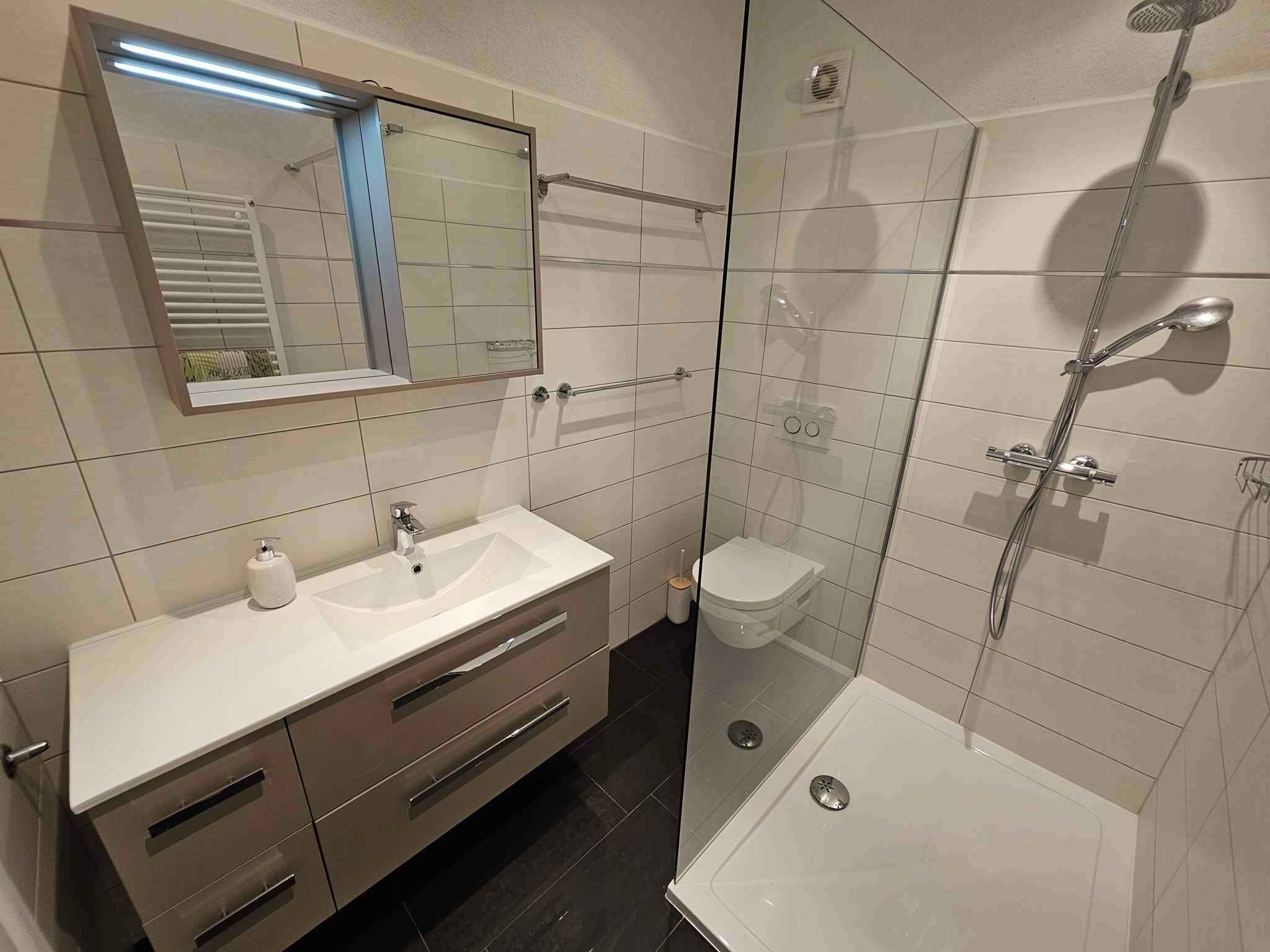 A modern bathroom with a glass-enclosed shower, a white sink with a soap dispenser, and a toilet.
