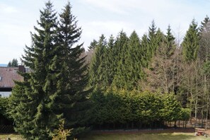 Unclassified image, 2 of 17, button