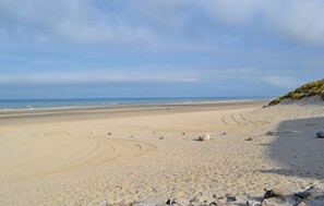 صيد ا�لأسماك