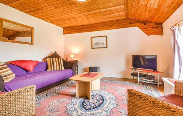 A cozy living room with a purple sofa, a small wooden coffee table, a TV on a stand, and a patterned rug.