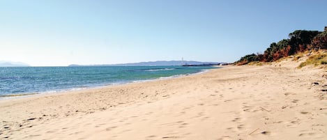 Strand