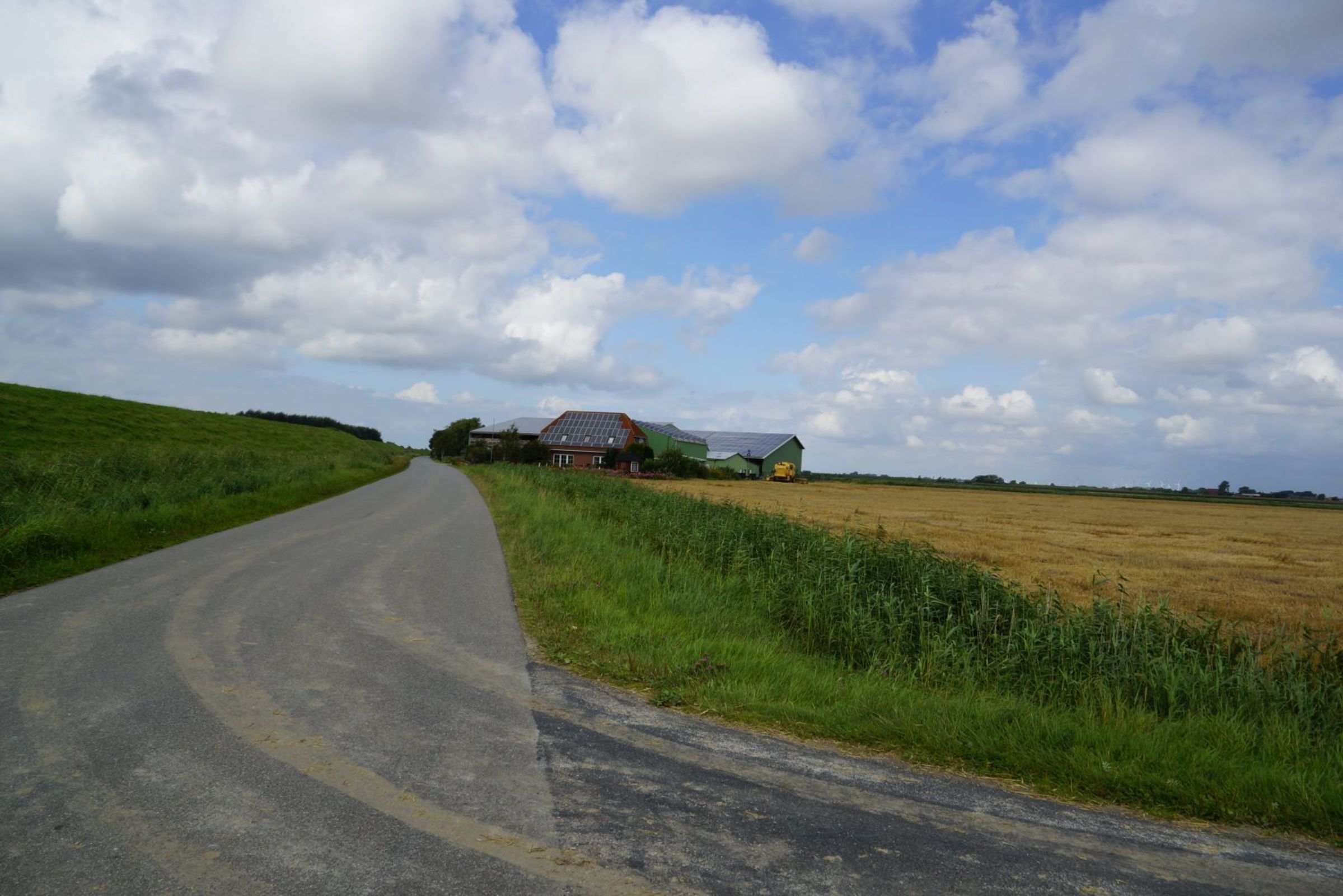 A rural road curving through a field with a house and barn in the distance.