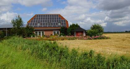 Ferienhof Witt - Ferienwohnung Witt