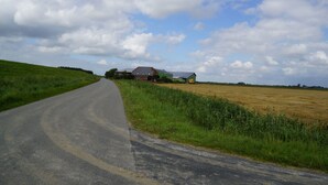 A rural road curving through a field with a house and barn in the distance. - Ferienhof Witt - Ferienwohnung Witt (Elpersbüttel)